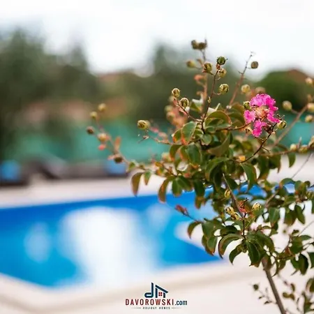 Sandi Comfortable Villa *